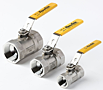 Series S20 and FS20 Ball Valves